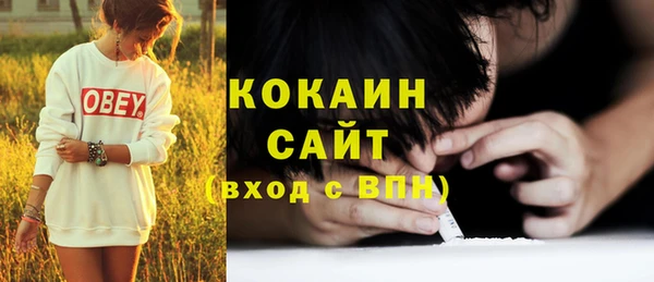 прущие грибы Карталы