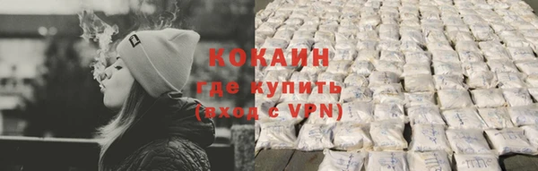 стаф Касимов