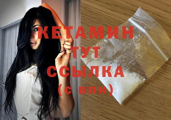 стаф Касимов