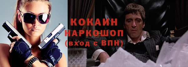 прущие грибы Карталы