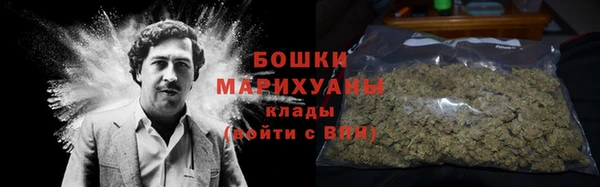 прущие грибы Карталы