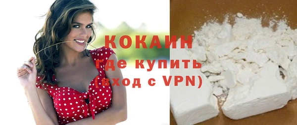 прущие грибы Карталы