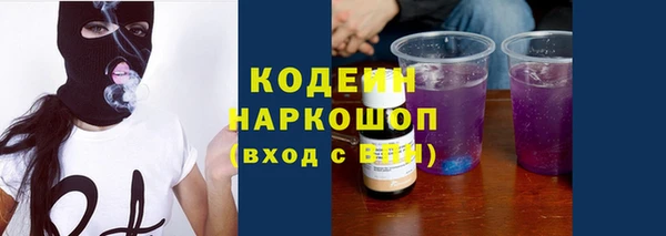 стаф Касимов