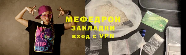 стаф Касимов