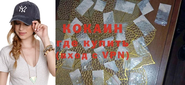 стаф Касимов