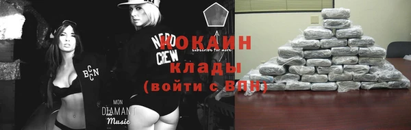 стаф Касимов