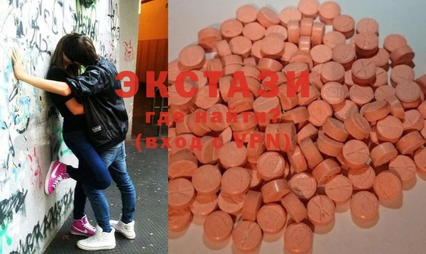 стаф Касимов
