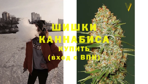 прущие грибы Карталы