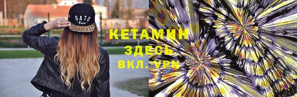 стаф Касимов