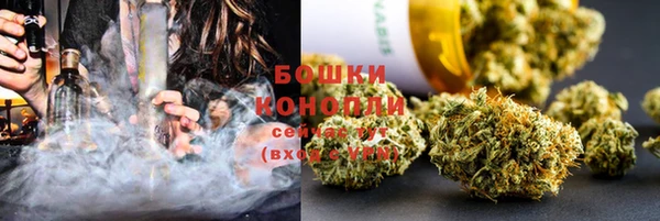 стаф Касимов