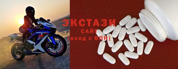 стаф Касимов
