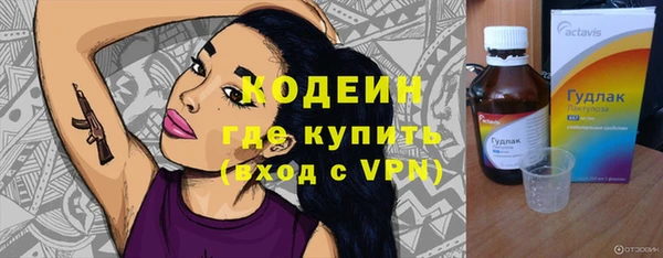 стаф Касимов