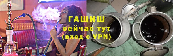 стаф Касимов