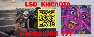 прущие грибы Кандалакша