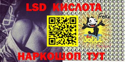 прущие грибы Кандалакша
