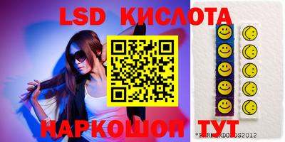 прущие грибы Кандалакша