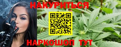 прущие грибы Кандалакша