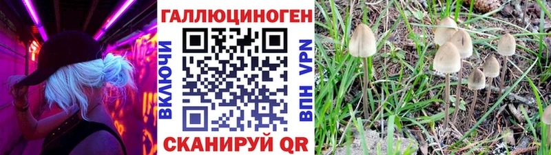 наркошоп  Рузаевка  hydra ТОР  Галлюциногенные грибы Psilocybine cubensis 