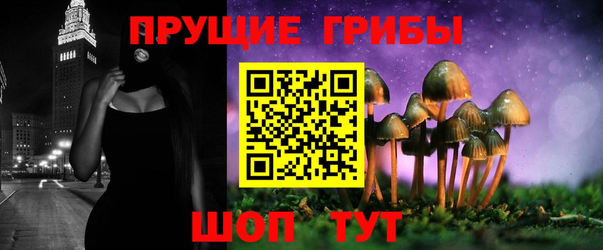 Рузаевка  Псилоцибиновые грибы прущие грибы  где купить   Вход с VPN 